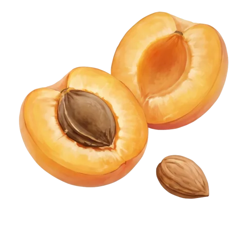 Apricot Kernel Oil
