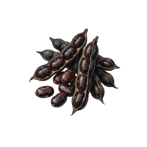 Black Castor Oil