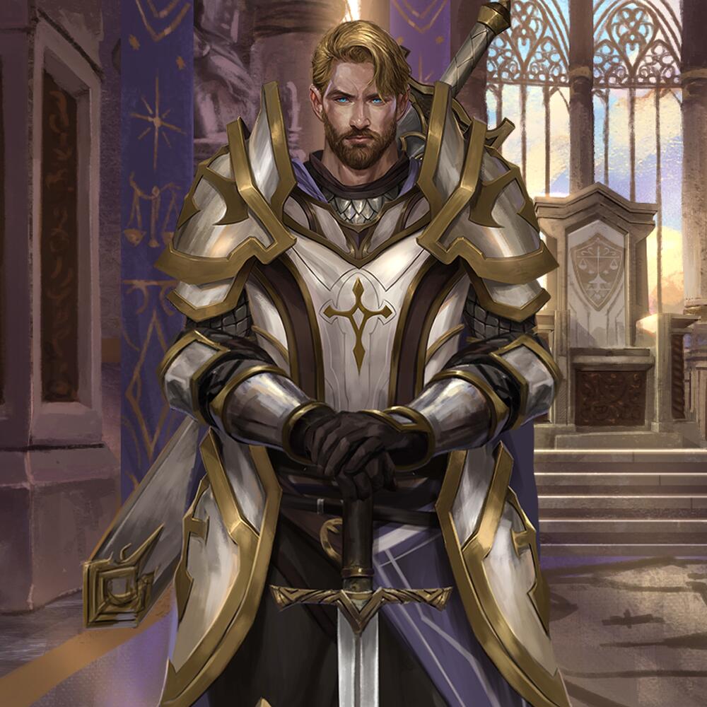 Paladin in Shining Armor