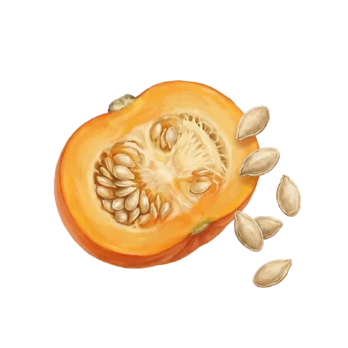 Pumpkin Seed Oil